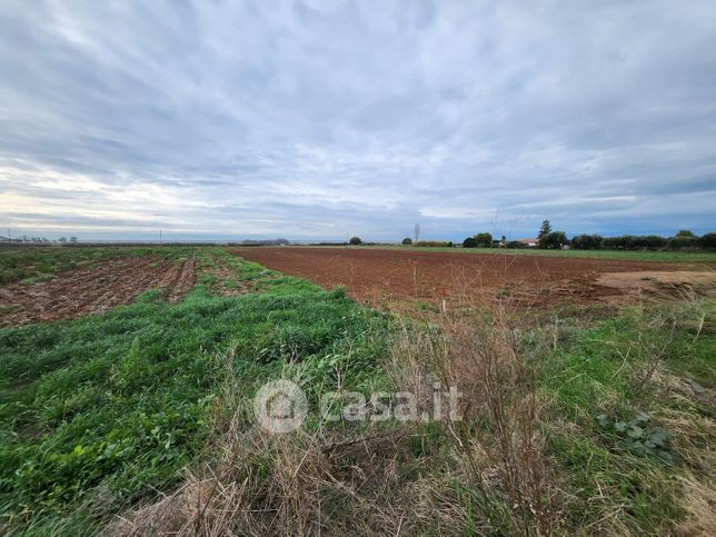 Terreno agricolo in commerciale in Via Aurelia