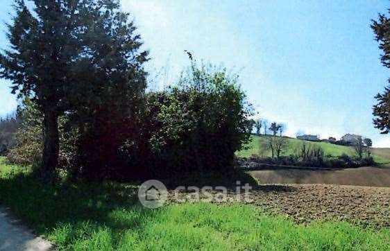 Terreno agricolo in commerciale in