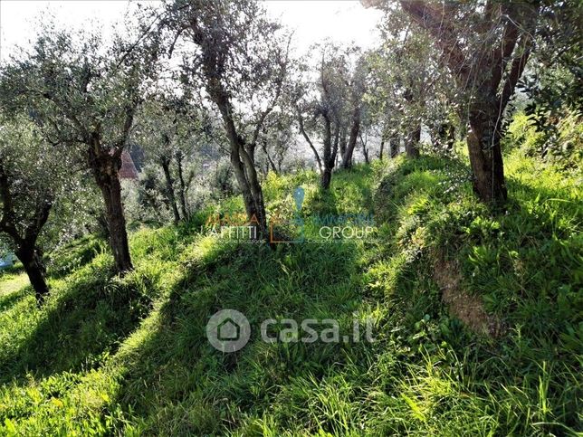 Terreno agricolo in commerciale in Viale XX Settembre 10