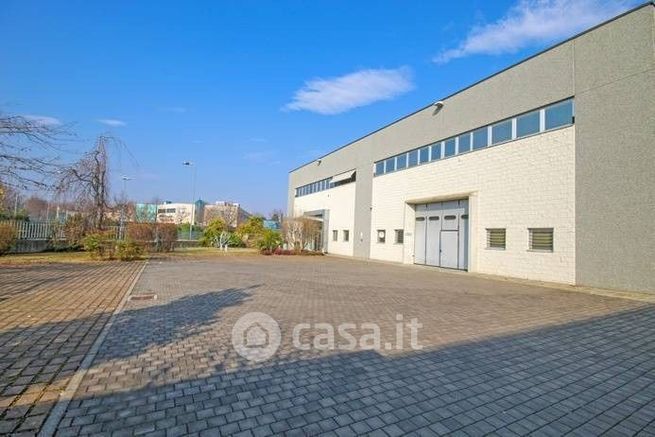 Capannone in commerciale in