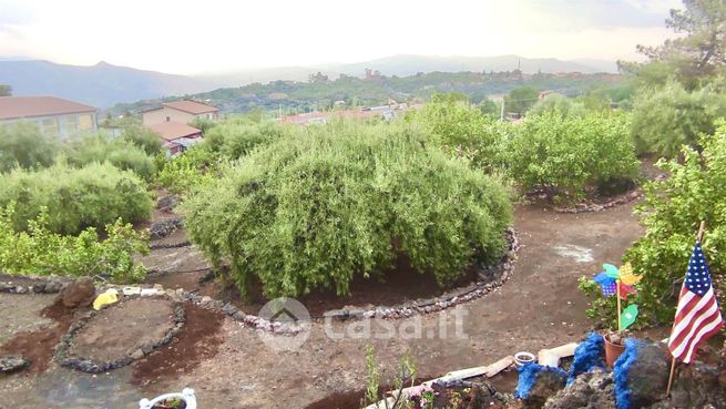 Terreno agricolo in commerciale in 
