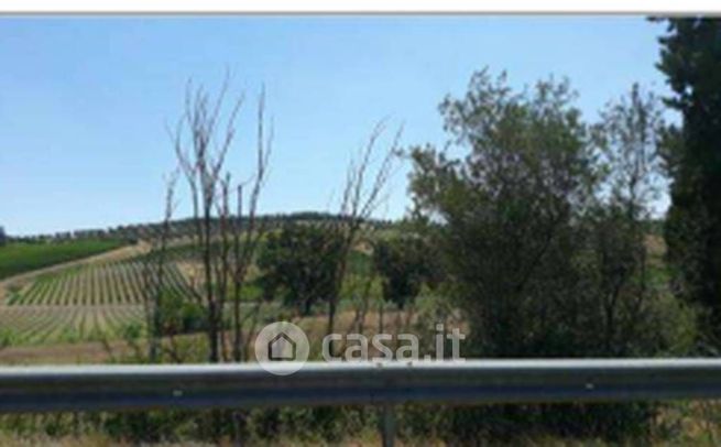 Terreno agricolo in commerciale in Via di Collegonzi