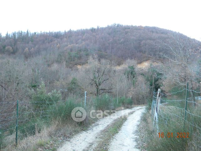 Terreno agricolo in commerciale in Frazione di Bellisio Solfare