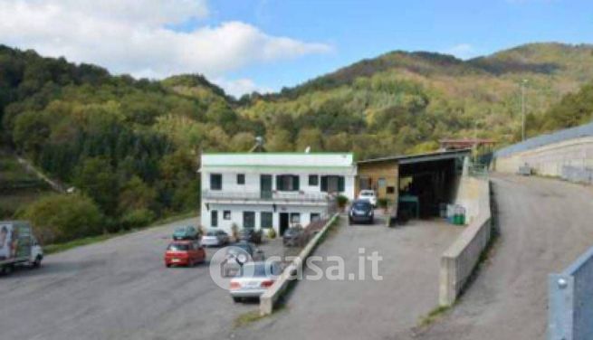 Capannone in commerciale in Strada Provinciale 38