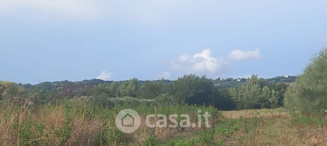 Terreno agricolo in commerciale in Via delle Pescine