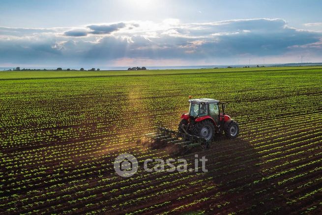 Terreno agricolo in commerciale in Via Cà Pesaro 75