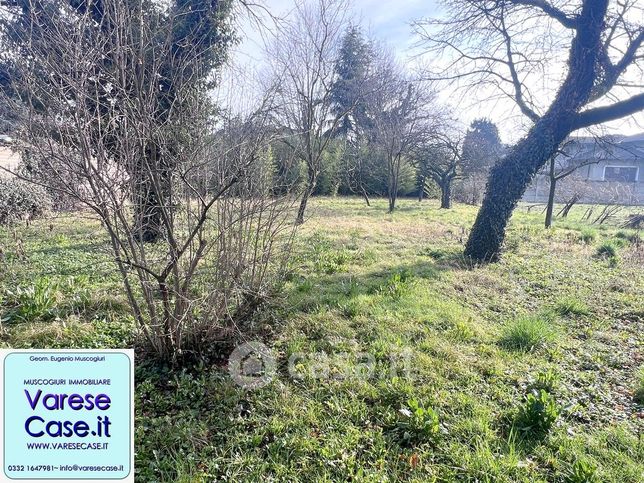 Terreno edificabile in residenziale in Via per Busto 23