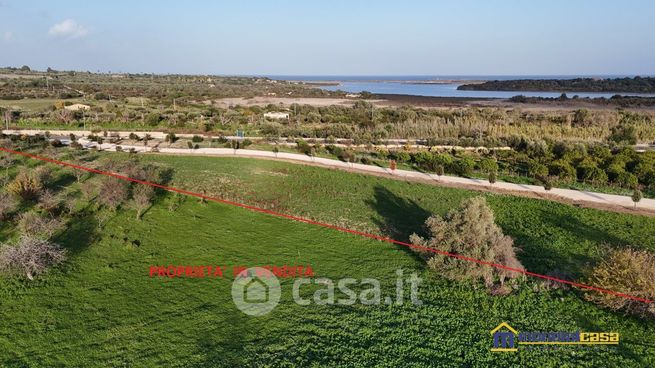 Terreno agricolo in commerciale in Strada Provinciale 19