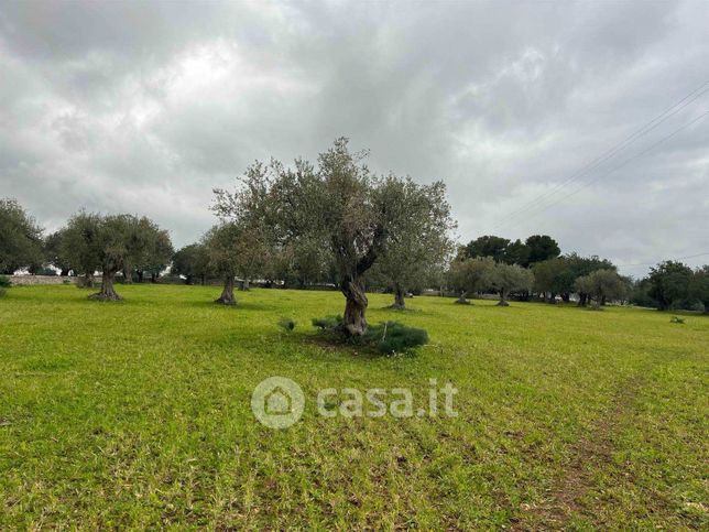 Terreno agricolo in commerciale in Via Perpetua