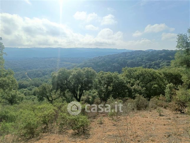 Terreno agricolo in commerciale in SU CUMERU