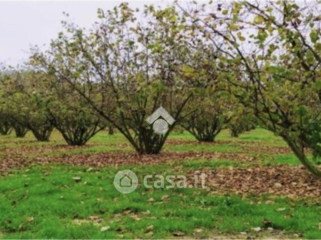 Terreno agricolo in commerciale in 