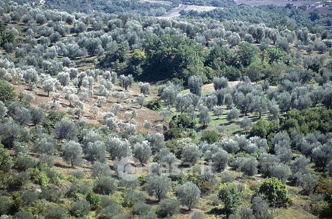 Terreno agricolo in commerciale in 