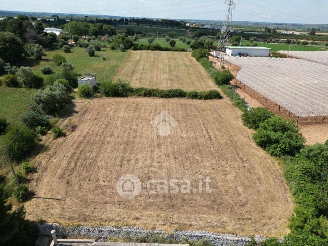 Terreno agricolo in commerciale in Contrada Torre Annibale 1