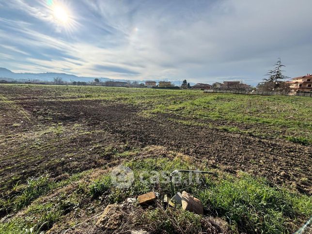 Terreno agricolo in commerciale in Via Salara