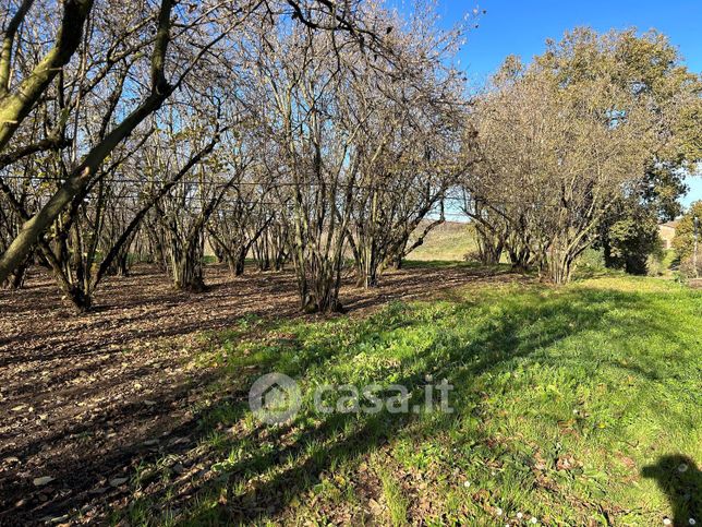 Terreno agricolo in commerciale in Strada provinciale san luca I tratto 2