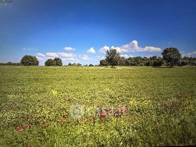 Terreno agricolo in commerciale in Località Nardelli