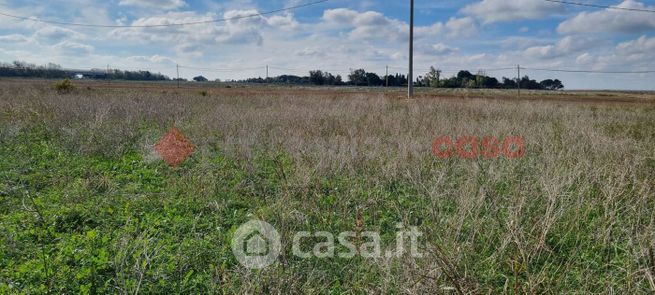 Terreno agricolo in commerciale in Strada per Sbitri