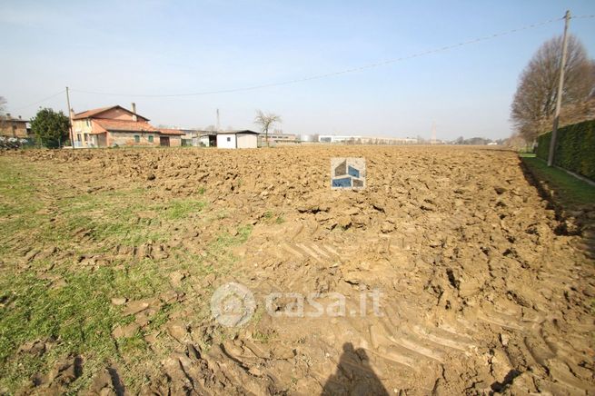 Terreno agricolo in commerciale in Via Bosco 4