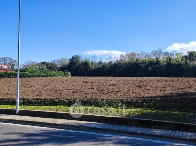 Terreno agricolo in commerciale in Via Reginelle