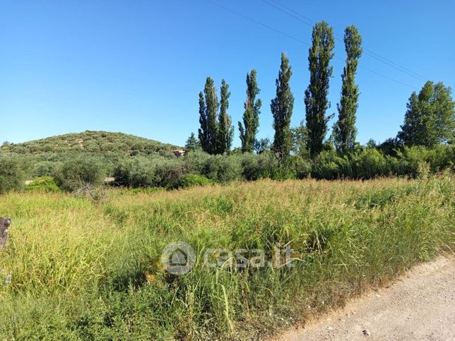 Terreno agricolo in commerciale in Strada del Laghetto
