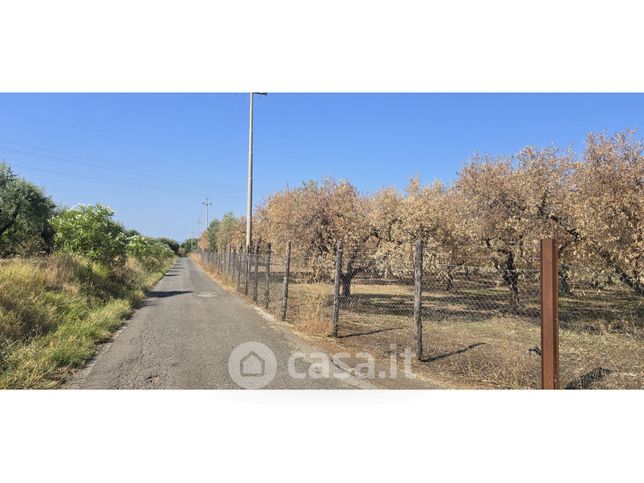 Terreno agricolo in commerciale in Via Cinelli