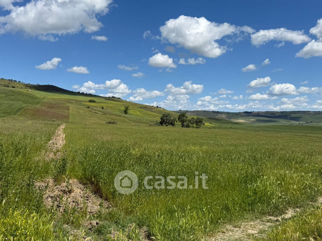 Terreno agricolo in commerciale in Contrada le frondi