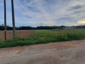 Terreno agricolo in commerciale in Via dei Mulini