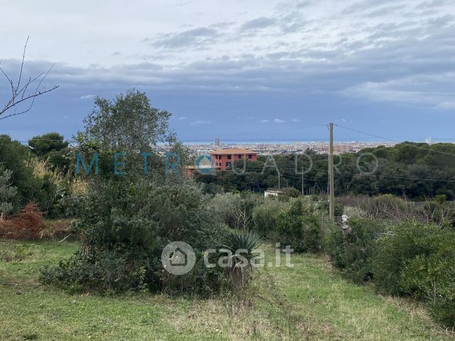 Terreno agricolo in commerciale in Località Lazzeretto