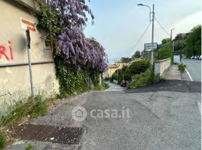 Terreno agricolo in commerciale in Contrada Vegliatore