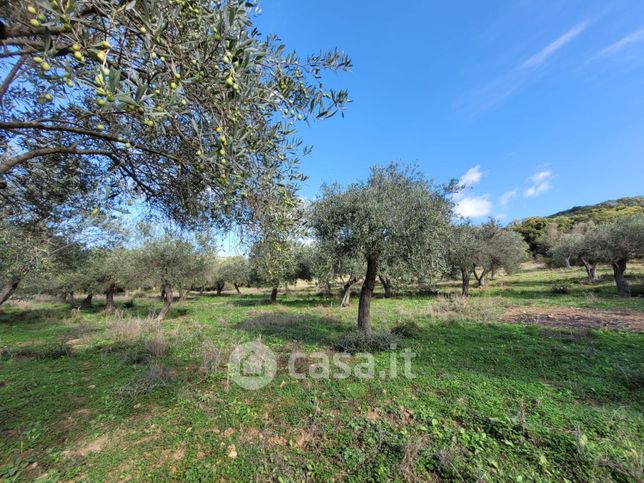 Terreno agricolo in commerciale in Via Valverde 99