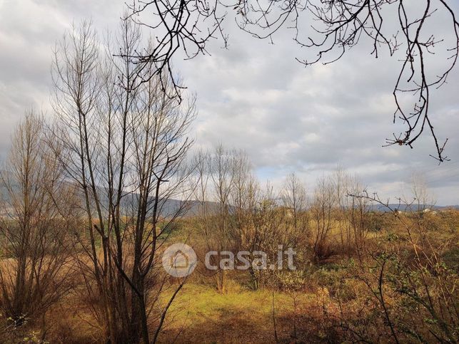 Terreno agricolo in commerciale in Via Vetrali