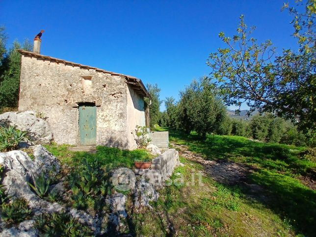 Terreno agricolo in commerciale in Via Bucefalo