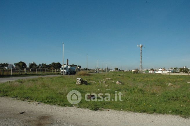 Terreno agricolo in commerciale in Strada vicinale Scarpone 2