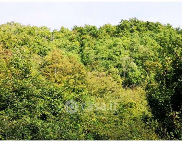 Terreno agricolo in commerciale in Strada provinciale 36 di Montepiano