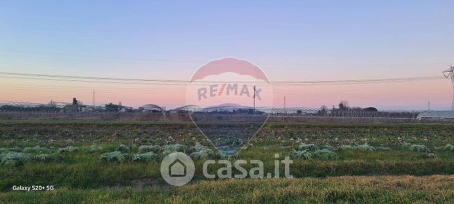 Terreno agricolo in commerciale in Via San Vitale
