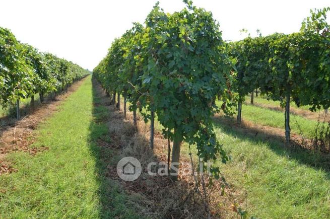 Terreno agricolo in commerciale in Via Castione