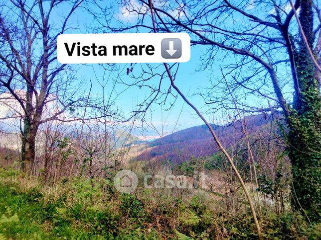 Terreno agricolo in commerciale in Via Raffaele Luciano