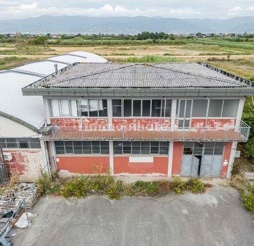 Capannone in commerciale in