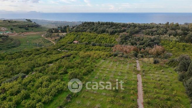 Terreno agricolo in commerciale in Strada Senza Nome