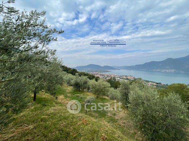 Terreno agricolo in commerciale in Silvio Bonomelli