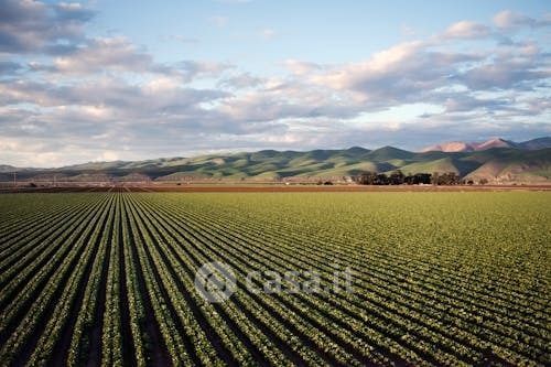 Terreno agricolo in commerciale in Via Caselle
