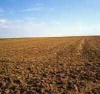 Terreno agricolo in commerciale in Via Santa Teresa 99