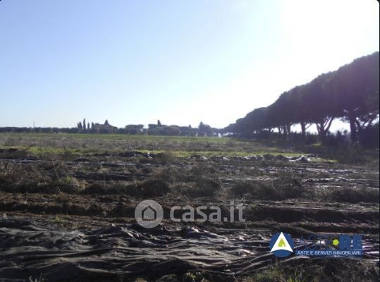 Terreno agricolo in commerciale in Via Randa