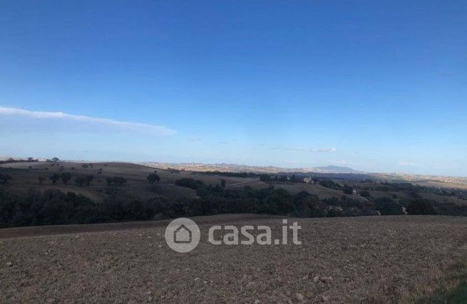 Terreno agricolo in commerciale in Contrada San Lorenzo