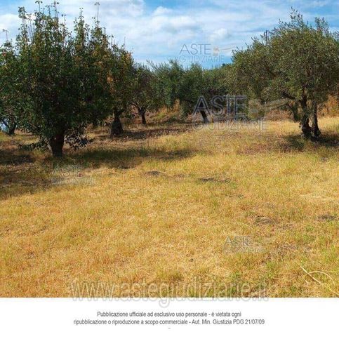 Terreno agricolo in commerciale in Via San Giorgio