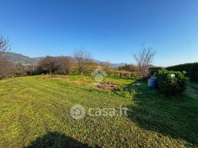 Terreno agricolo in commerciale in Via Scalinata 11