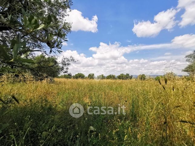 Terreno agricolo in commerciale in 