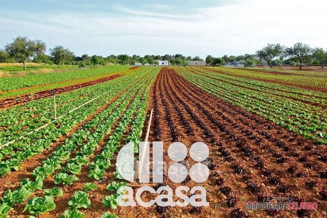 Terreno agricolo in commerciale in 