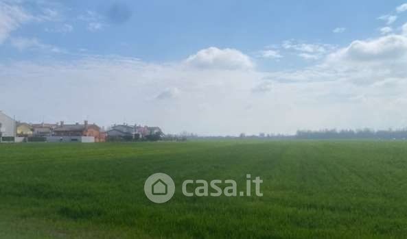 Terreno agricolo in commerciale in Piazza San Michele