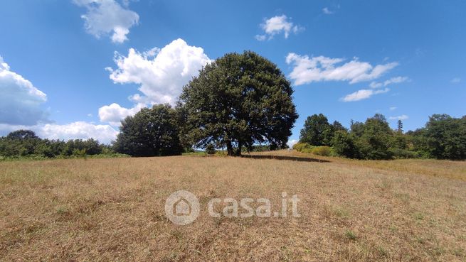 Terreno agricolo in commerciale in Località campetto